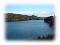 �f�C�T�[�r�X����Δȃ��]�[�g